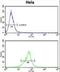 Coactosin Like F-Actin Binding Protein 1 antibody, LS-C166960, Lifespan Biosciences, Flow Cytometry image 