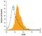 CXADR Like Membrane Protein antibody, AF7356, R&D Systems, Flow Cytometry image 