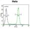 Lysine Demethylase 3B antibody, abx026267, Abbexa, Western Blot image 