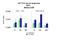 TATA-Box Binding Protein Associated Factor 2 antibody, A08375, Boster Biological Technology, Chromatin Immunoprecipitation image 