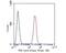 Follicle Stimulating Hormone Subunit Beta antibody, NBP2-80459, Novus Biologicals, Flow Cytometry image 