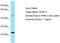 DDB1 And CUL4 Associated Factor 17 antibody, TA335886, Origene, Western Blot image 