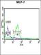 TATA-Box Binding Protein Associated Factor 2 antibody, orb40670, Biorbyt, Flow Cytometry image 