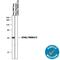 Transmembrane Protein 173 antibody, AF6516, R&D Systems, Western Blot image 