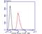 Melanoma Cell Adhesion Molecule antibody, NBP2-80441, Novus Biologicals, Flow Cytometry image 