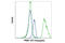 Pyruvate Kinase M1/2 antibody, 19000S, Cell Signaling Technology, Flow Cytometry image 