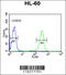 Joining Chain Of Multimeric IgA And IgM antibody, 62-317, ProSci, Flow Cytometry image 