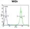 Aldehyde Dehydrogenase 5 Family Member A1 antibody, abx028257, Abbexa, Flow Cytometry image 