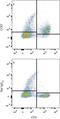 C-C Motif Chemokine Receptor 7 antibody, MAB3477, R&D Systems, Flow Cytometry image 