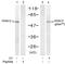 Histone Deacetylase 2 antibody, LS-C203029, Lifespan Biosciences, Western Blot image 