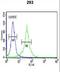 DCD antibody, LS-C167290, Lifespan Biosciences, Flow Cytometry image 