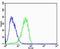 Calpain 2 antibody, LS-B14550, Lifespan Biosciences, Flow Cytometry image 