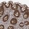 DnaJ Heat Shock Protein Family (Hsp40) Member C9 antibody, NBP1-87903, Novus Biologicals, Immunohistochemistry paraffin image 