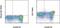 Platelet And Endothelial Cell Adhesion Molecule 1 antibody, 13-0310-82, Invitrogen Antibodies, Flow Cytometry image 