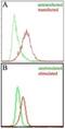 Epstein-Barr Virus Induced 3 antibody, NBP2-03939, Novus Biologicals, Flow Cytometry image 