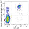 C-X-C Motif Chemokine Receptor 5 antibody, 356935, BioLegend, Flow Cytometry image 