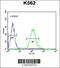 Testis Expressed 9 antibody, 55-287, ProSci, Immunohistochemistry paraffin image 