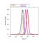 Beta-Transducin Repeat Containing E3 Ubiquitin Protein Ligase antibody, 37-3400, Invitrogen Antibodies, Flow Cytometry image 