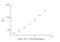 Actin Alpha 2, Smooth Muscle antibody, NBP2-66423, Novus Biologicals, Enzyme Linked Immunosorbent Assay image 