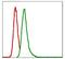 Glucose-6-Phosphate Dehydrogenase antibody, GTX60515, GeneTex, Flow Cytometry image 