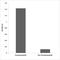 Keratin 8 antibody, LS-C291498, Lifespan Biosciences, Enzyme Linked Immunosorbent Assay image 