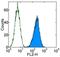 Endoglin antibody, 12-1051-82, Invitrogen Antibodies, Flow Cytometry image 