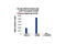 REL Proto-Oncogene, NF-KB Subunit antibody, 12659S, Cell Signaling Technology, Chromatin Immunoprecipitation image 