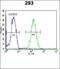 Apoptosis Inhibitor 5 antibody, orb214803, Biorbyt, Flow Cytometry image 