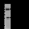 Peroxiredoxin 4 antibody, GTX02200, GeneTex, Immunoprecipitation image 