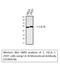 Carbonic anhydrase IX antibody, STJ96978, St John