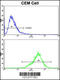 Protein-glutamine gamma-glutamyltransferase 4 antibody, 62-536, ProSci, Flow Cytometry image 