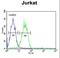 Arginine And Glutamate Rich 1 antibody, LS-C156462, Lifespan Biosciences, Flow Cytometry image 