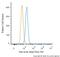 Beta-Actin antibody, NB600-503AF488, Novus Biologicals, Flow Cytometry image 