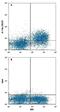 Interleukin 7 Receptor antibody, FAB47742G, R&D Systems, Flow Cytometry image 