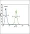 Plasminogen Activator, Urokinase antibody, PA5-15487, Invitrogen Antibodies, Flow Cytometry image 