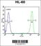 Inter-Alpha-Trypsin Inhibitor Heavy Chain 1 antibody, 55-984, ProSci, Flow Cytometry image 