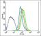 Hepatic And Glial Cell Adhesion Molecule antibody, orb100099, Biorbyt, Flow Cytometry image 