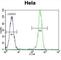 Erythropoietin receptor antibody, abx028987, Abbexa, Western Blot image 