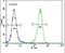 Aquaporin 11 antibody, PA5-25704, Invitrogen Antibodies, Flow Cytometry image 