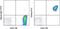 Glycoprotein IX Platelet antibody, 11-0428-42, Invitrogen Antibodies, Flow Cytometry image 