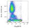 CD45 antibody, GTX78300, GeneTex, Flow Cytometry image 