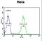 Cyclin H antibody, LS-C168475, Lifespan Biosciences, Flow Cytometry image 