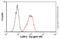 Calcium/Calmodulin Dependent Protein Kinase II Beta antibody, ab22609, Abcam, Flow Cytometry image 