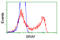 B-Raf Proto-Oncogene, Serine/Threonine Kinase antibody, LS-C114924, Lifespan Biosciences, Flow Cytometry image 