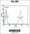 Pyridoxal Dependent Decarboxylase Domain Containing 1 antibody, 61-727, ProSci, Flow Cytometry image 