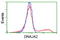 DnaJ Heat Shock Protein Family (Hsp40) Member A2 antibody, LS-C115654, Lifespan Biosciences, Flow Cytometry image 