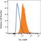 Lysosome-associated membrane glycoprotein 3 antibody, AF4087, R&D Systems, Western Blot image 