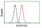 Aldehyde Dehydrogenase 1 Family Member A3 antibody, NBP2-46510, Novus Biologicals, Flow Cytometry image 