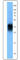 Interferon Beta 1 antibody, 508102, BioLegend, Western Blot image 