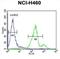 SEC31 Homolog B, COPII Coat Complex Component antibody, abx032570, Abbexa, Western Blot image 